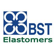 โลโก้ BSTE